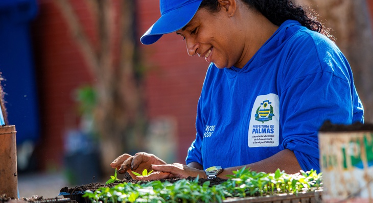 Acassiana Rocha realiza a transferência de mudas de sementeira para bandejas