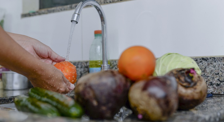 Produtos como frutas e legumes devem ser cuidadosamente lavados