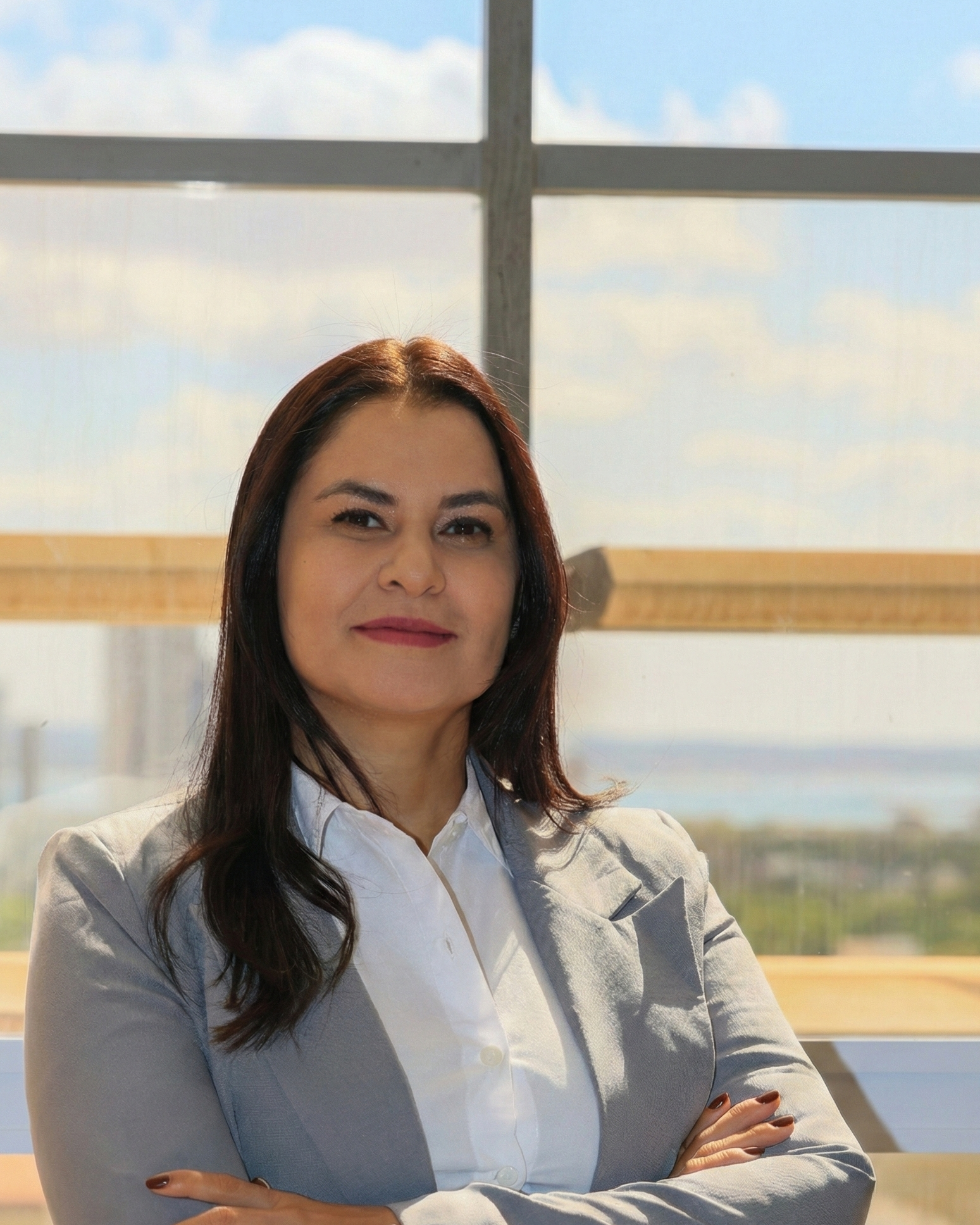Anice de Souza