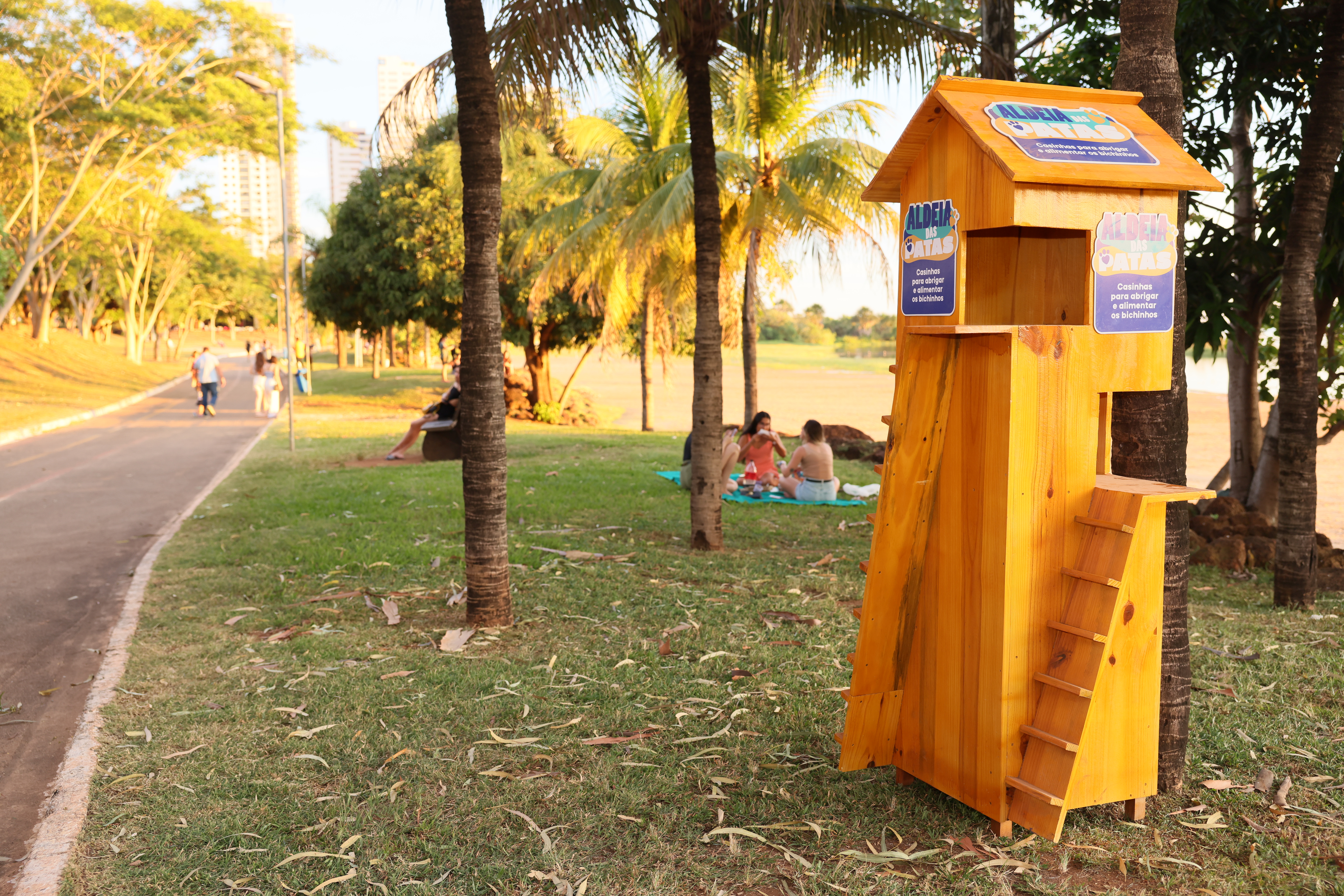 Casinhas do projeto Aldeia das Patas na Praia da graciosa- Lia Mara (1)