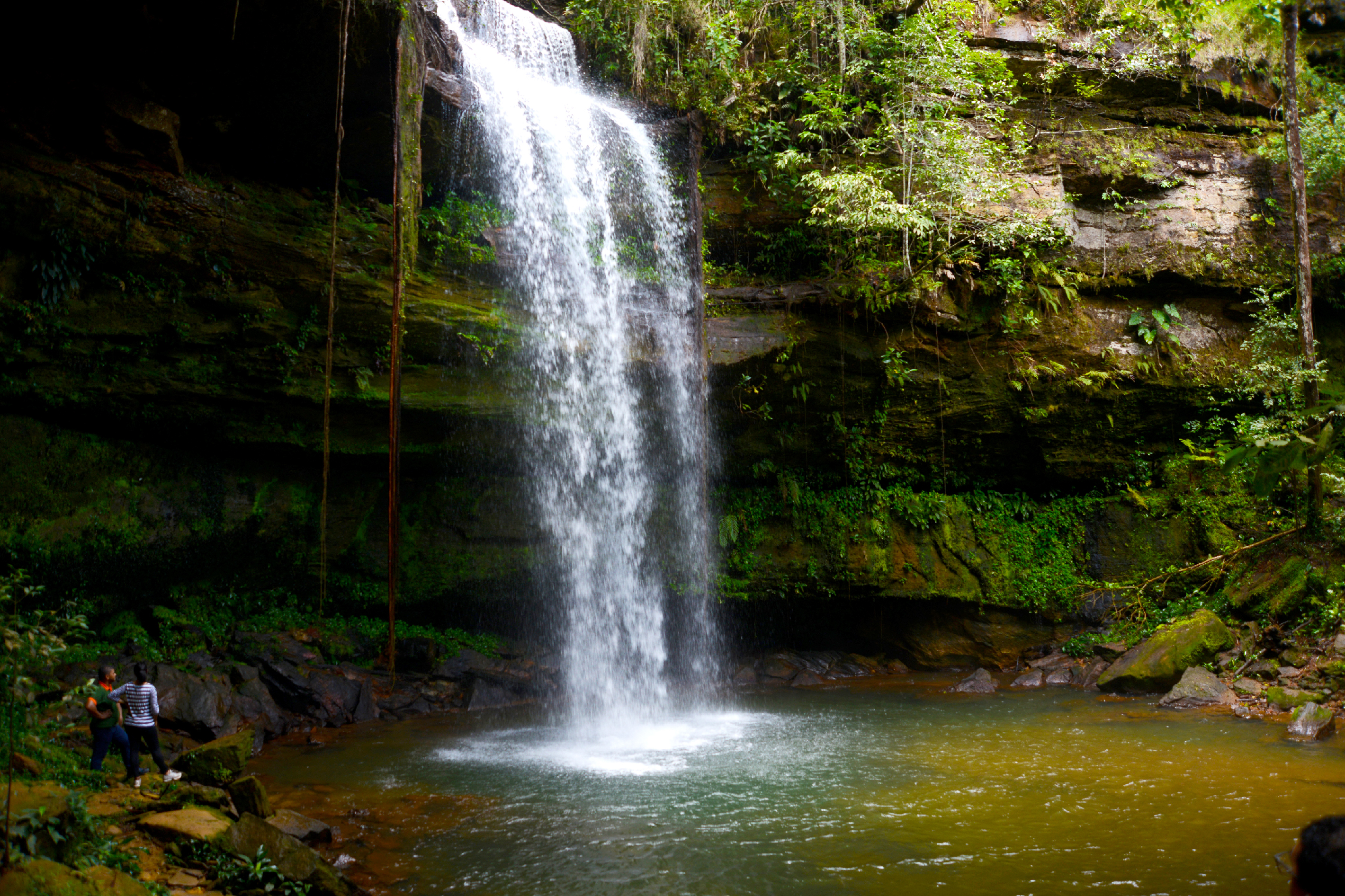 Fazenda Ecológica Zona Rural - Taquaruçu, cachoeira da arara- Regiane Rocha (1)