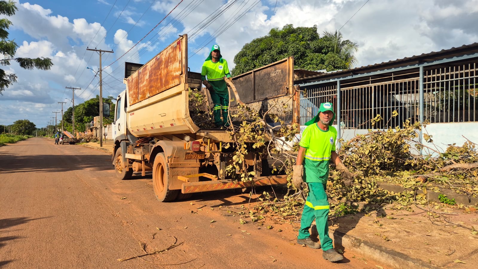 Prefeitura de Palmas pede colaboração da população para organização das podas de árvores