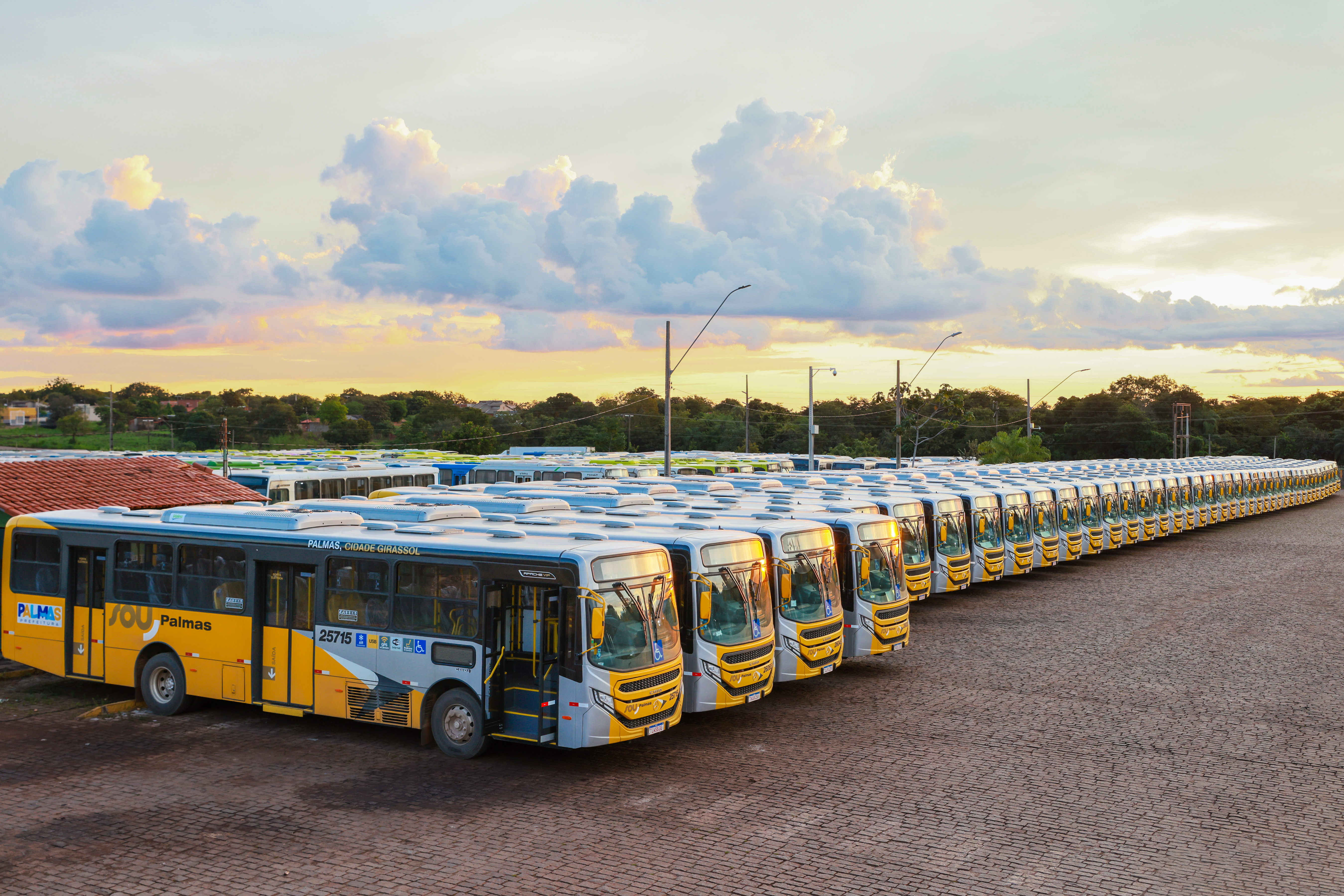 Nova frota de Ônibus - Regiane Rocha 3