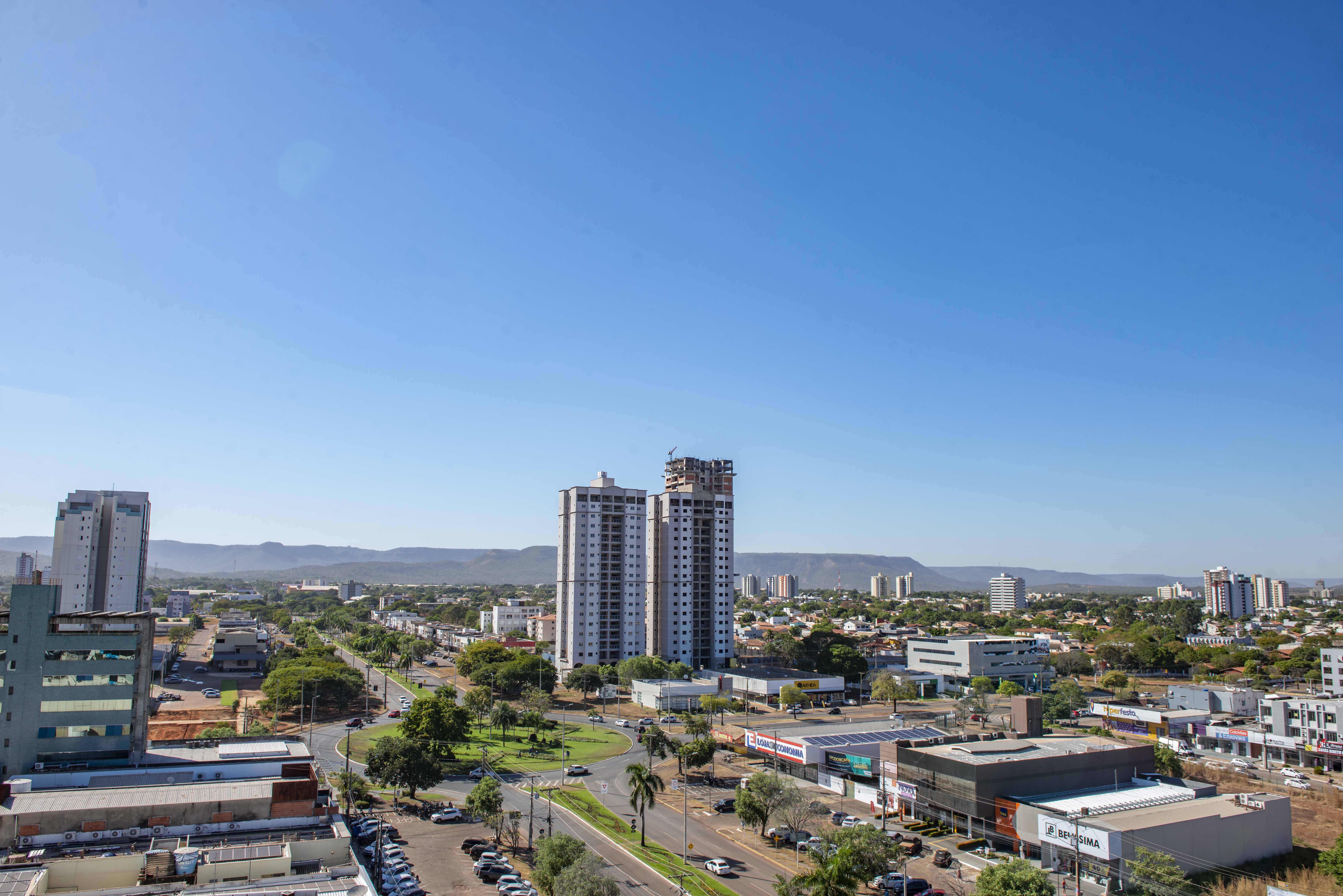Palmas em dia ensolarado - Luciana Pires6