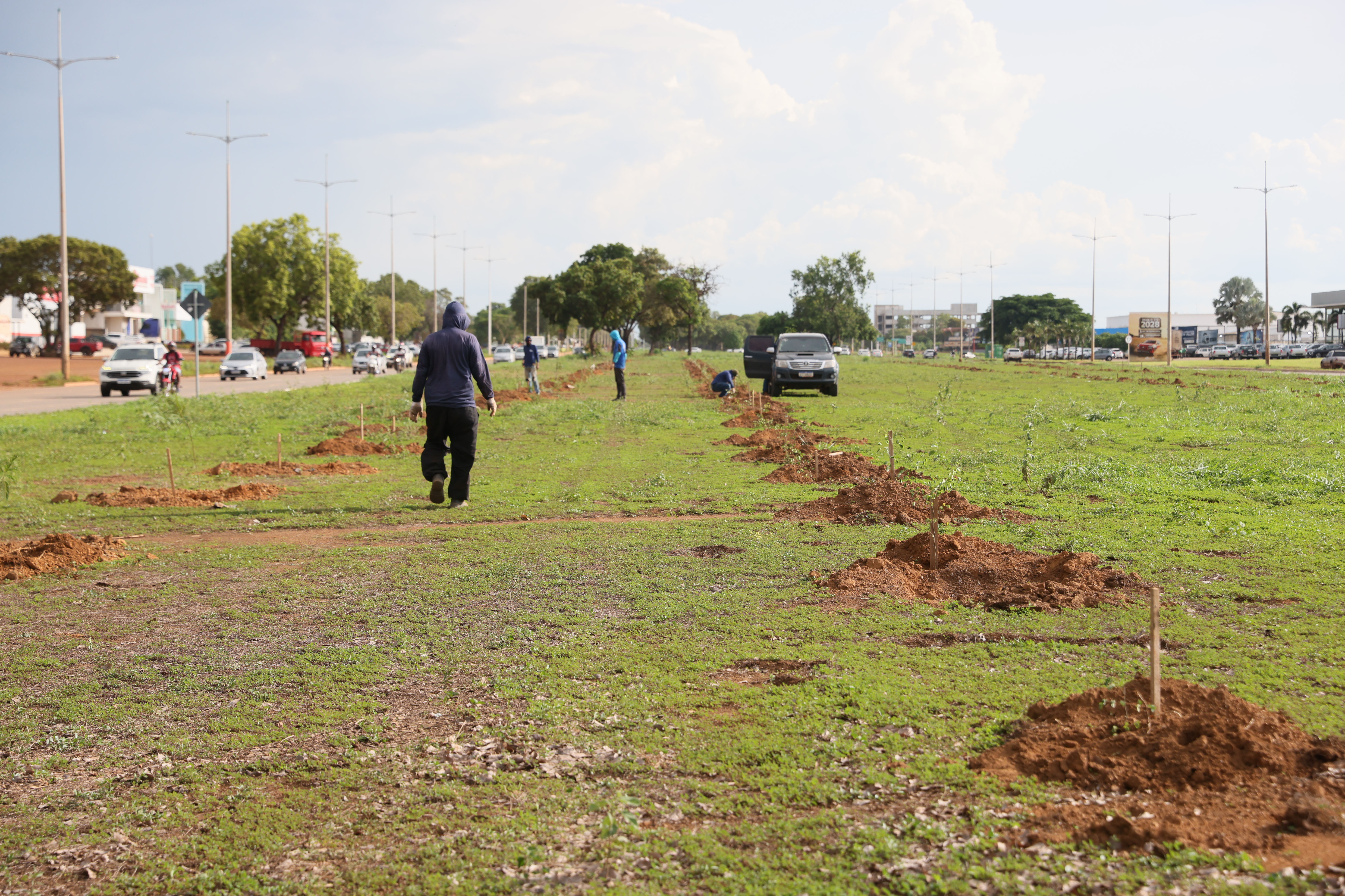 Plantio mudas Av. Siqueira Campos - Lia Mara (29)