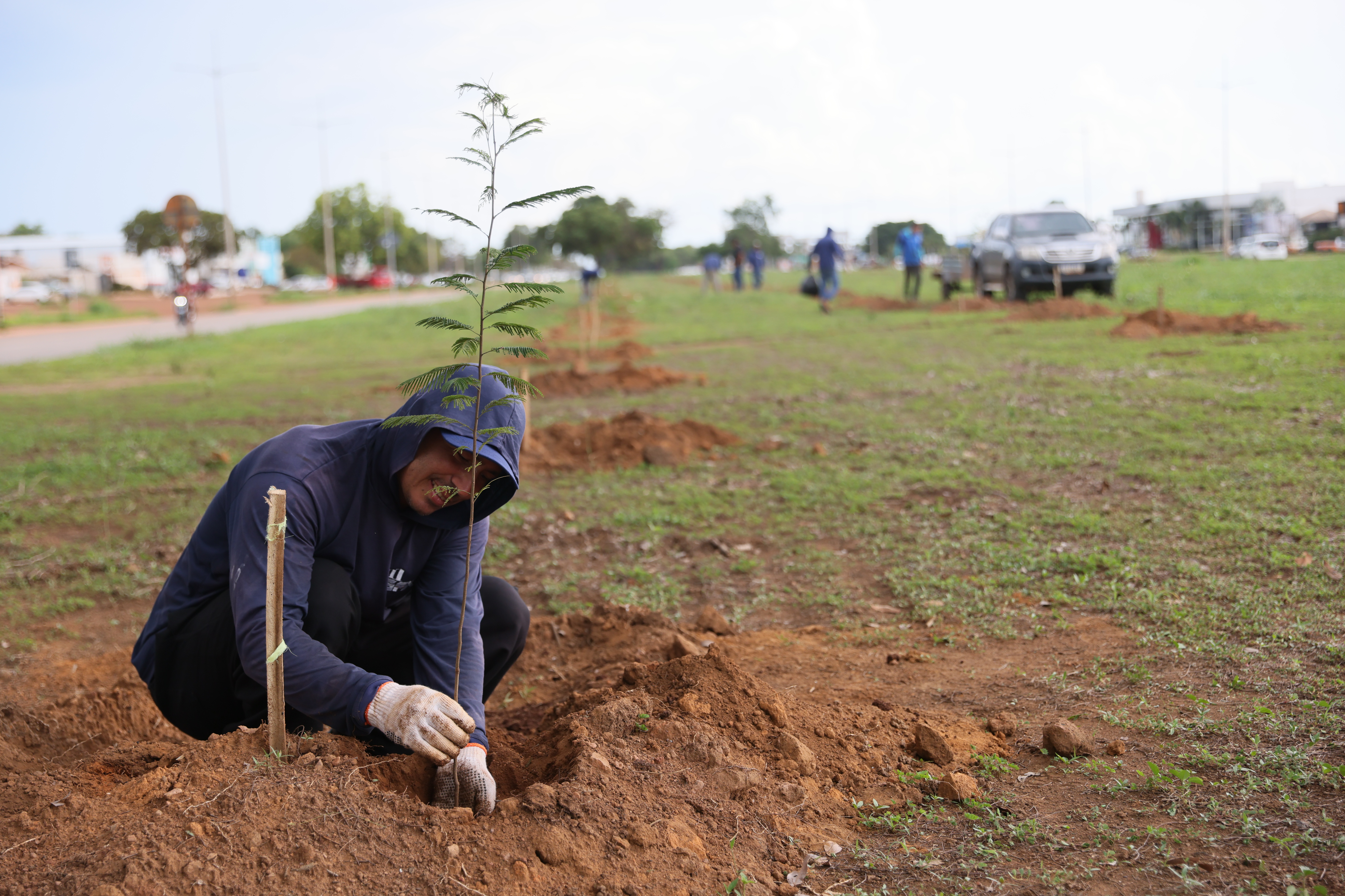 Plantio mudas Av. Siqueira Campos - Lia Mara (8)