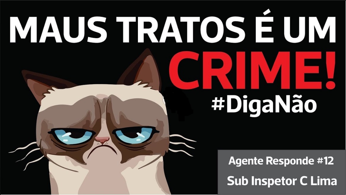 Guarda Metropolitana alerta que maus tratos aos animais silvestres ou domésticos é crime previsto em Lei Federal