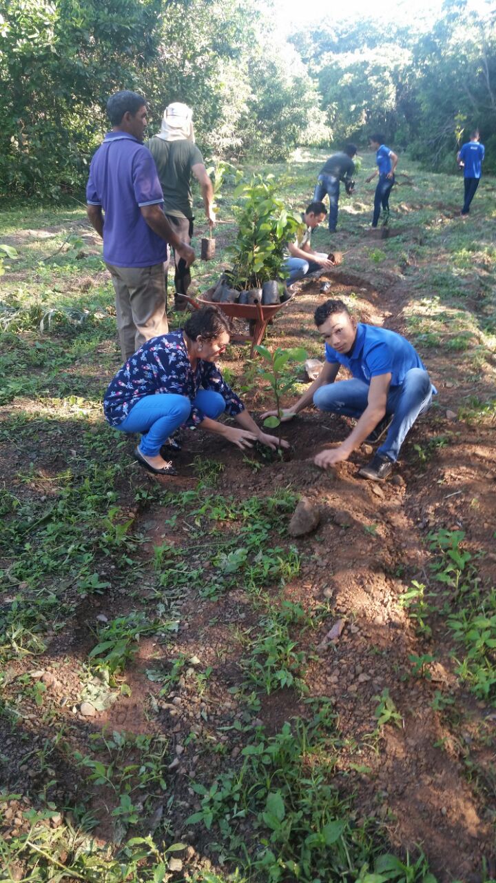 FMA vai realizar plantio na avenida principal do Jardim Taquari