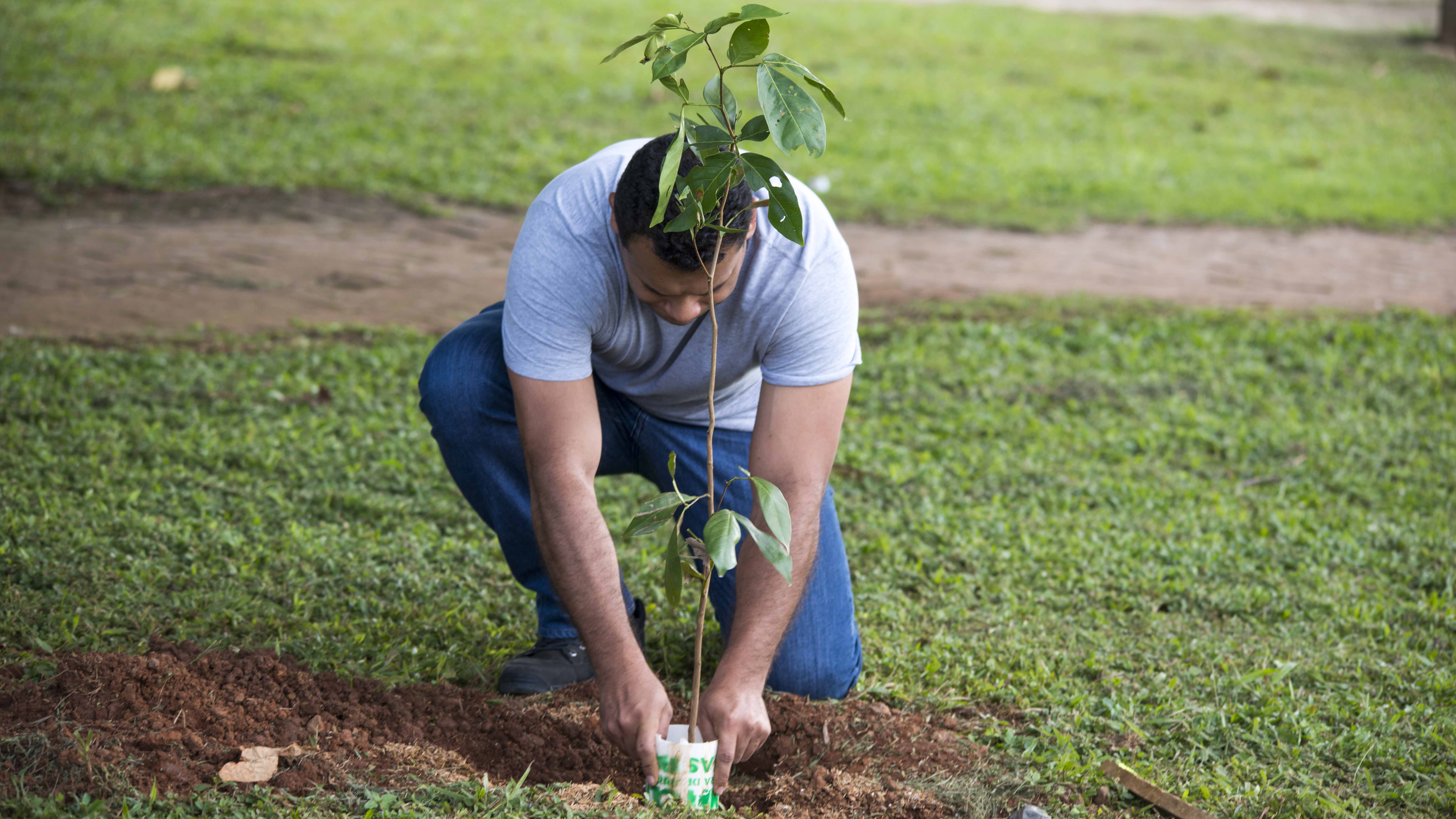 Programa ‘MudaClima’ faz doação de mudas para recomposição da flora nativa de Palmas