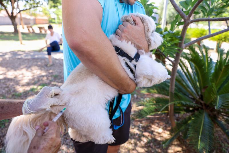 Vacinação contra raiva a partir das 17 horas, nesta terça, no Parque dos Povos Indígenas