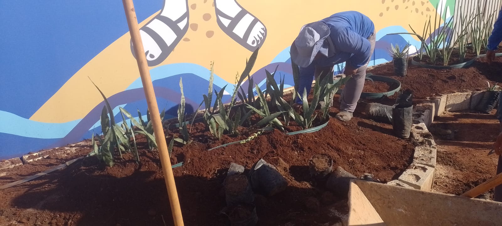 Zeladoria Urbana realiza serviços de paisagismo e limpeza na arena do Arraiá da Capital