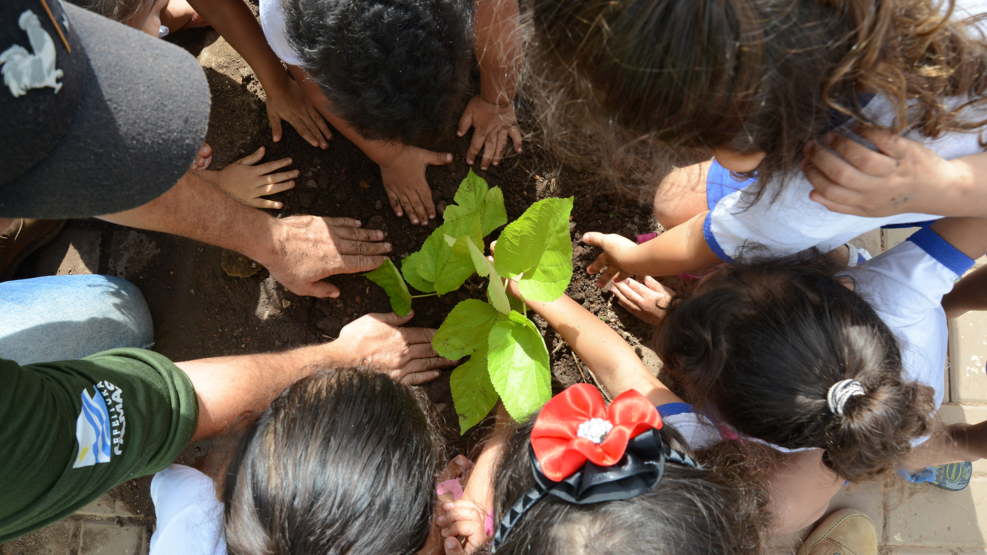Alunos de Cmei Castelo Encantado plantam mudas dentro do Projeto Pé de Sombra