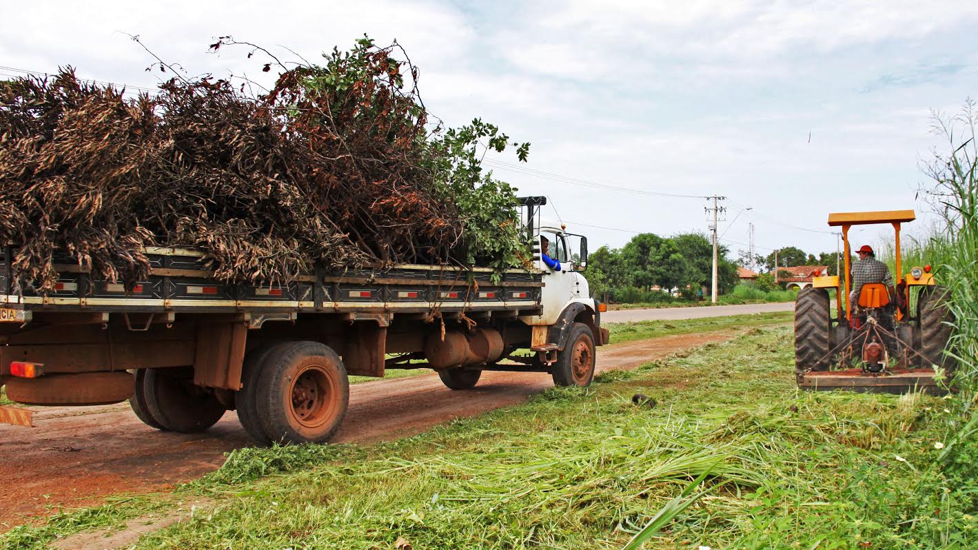 Cronograma de coleta de galhadas será executado em toda a Capital