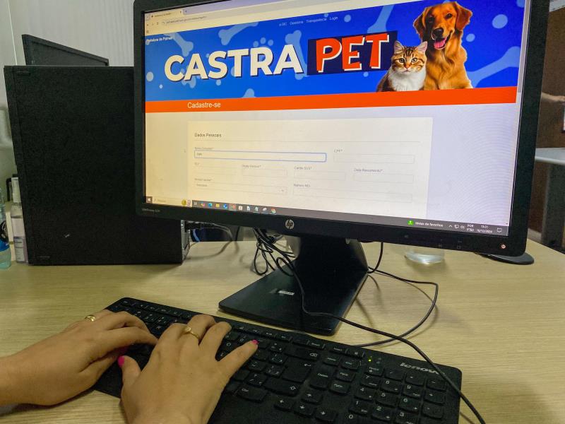 Saiba como realizar o cadastro para agendar a castração de cães e gatos em Palmas