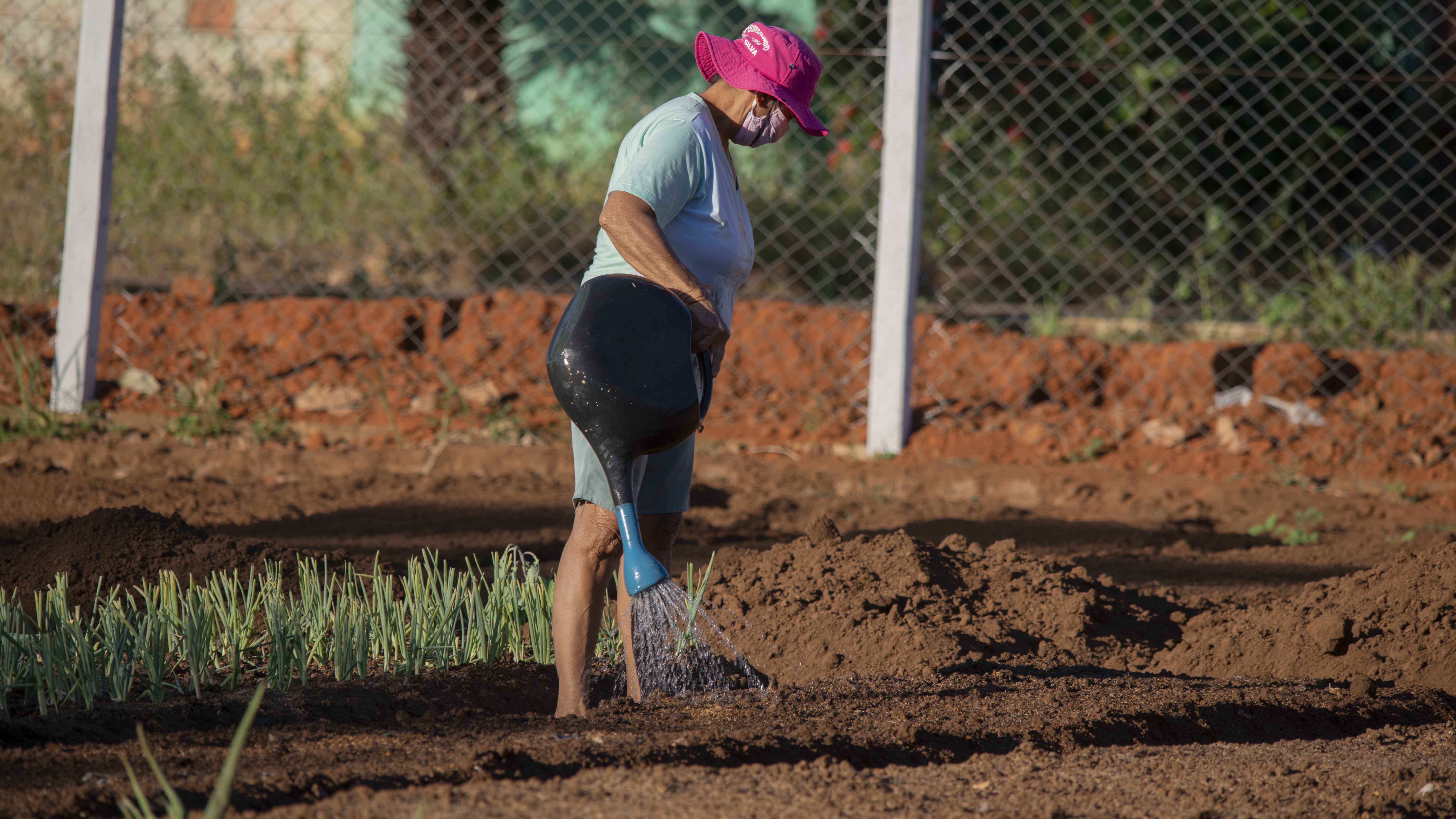 Após reforma completa, produtores colocam a mão na massa e voltam a plantar na Horta Comunitária do Aureny IV