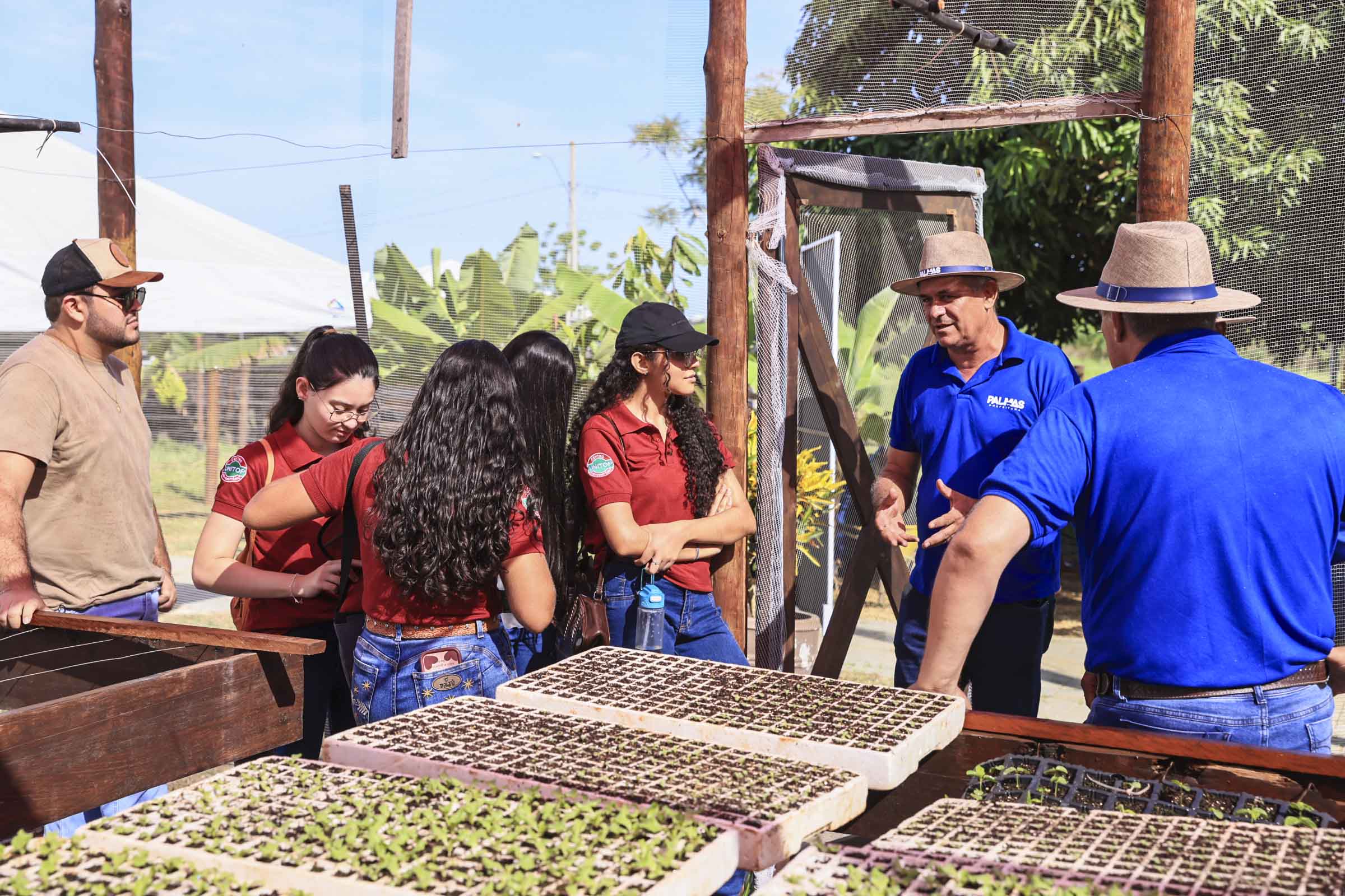 Fazendinha recebe produtores, estudantes e visitantes no primeiro dia da Agrotins 2026