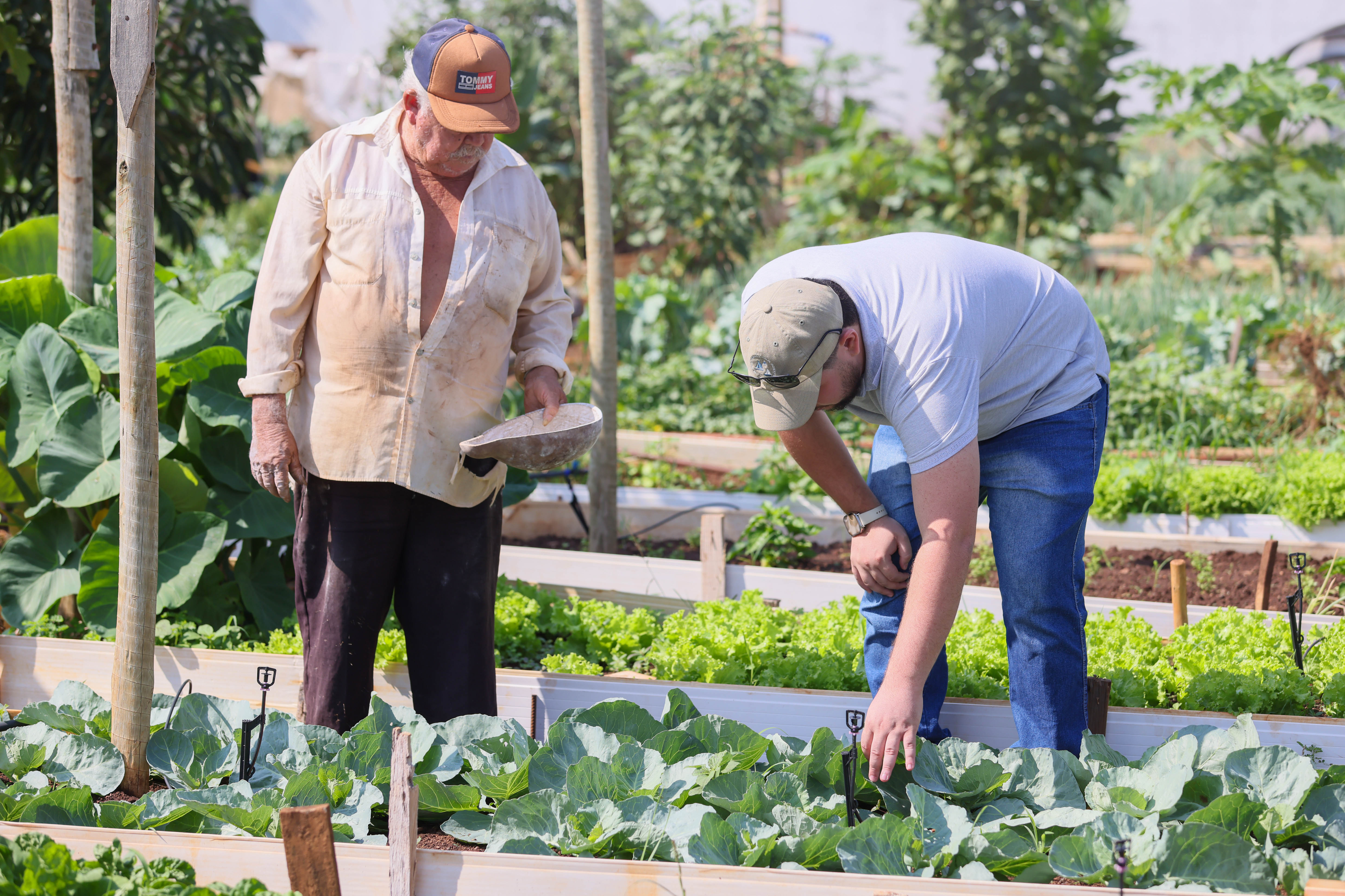 Durante à capacitação os produtores aprendem a identificar as pragas danias