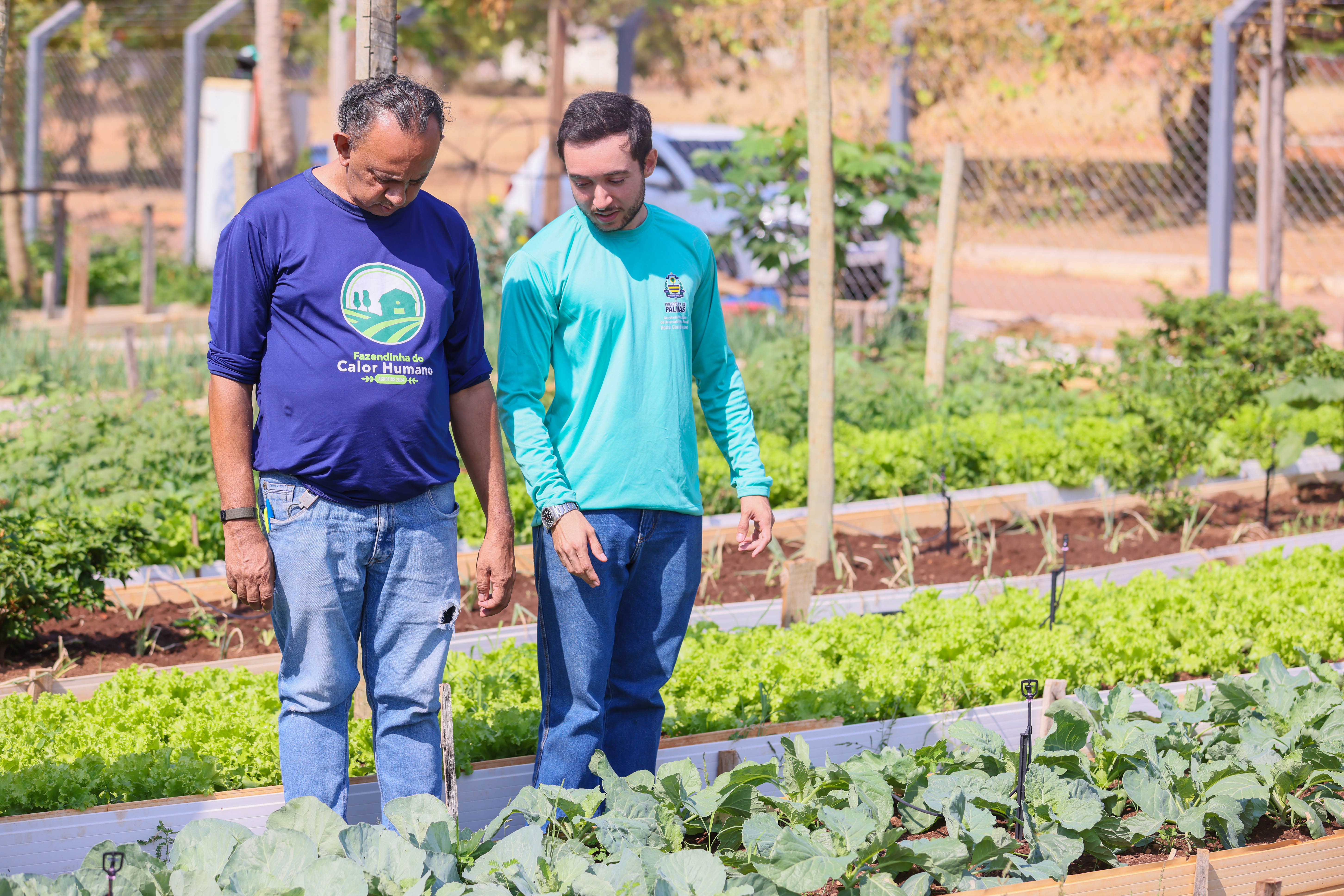 Técnicos da Seasi visitam horta comunitária do Setor Santa Bárbara 