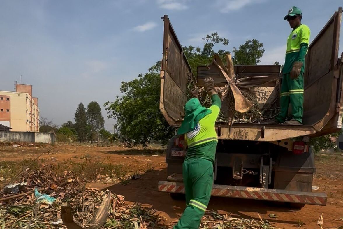 Prefeitura de Palmas recolhe cerca de 19 mil toneladas de galhadas