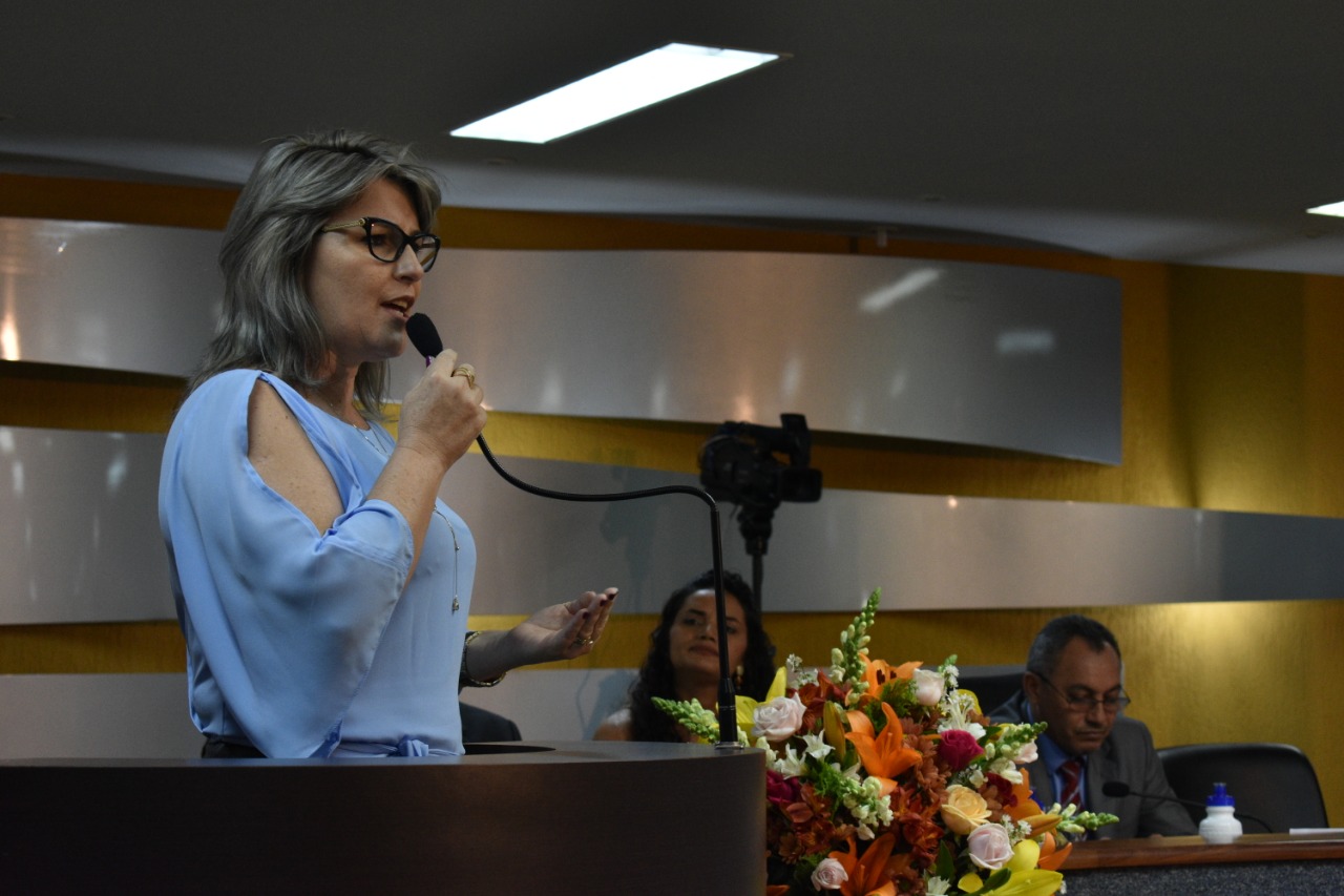 Representantes da Sedes participam de sessão solene sobre conscientização da violência contra os idosos