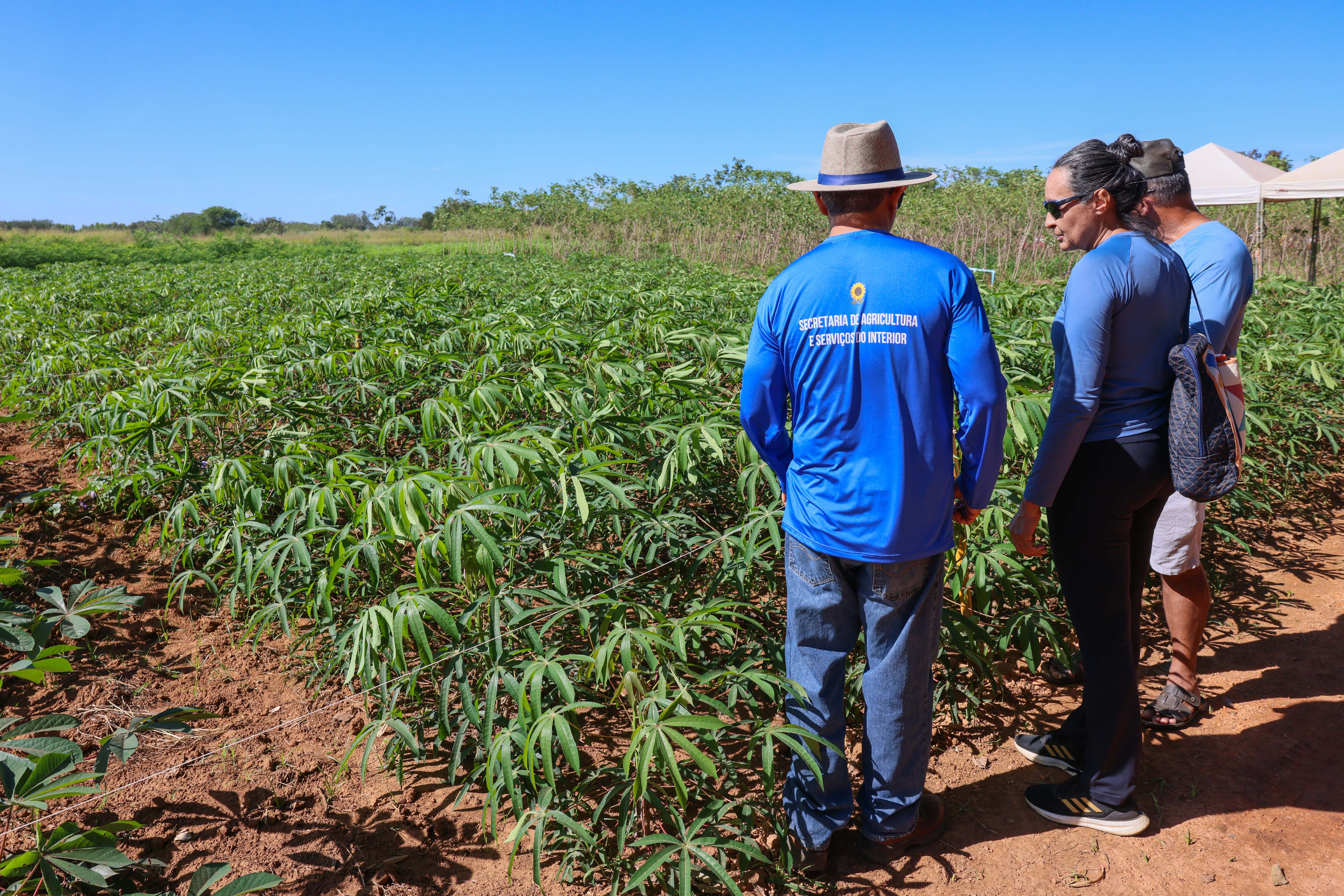 Data: 13/05/2025Local: Fazendinha, Agrotins, Palmas - TOFoto: Júnior Suzuki