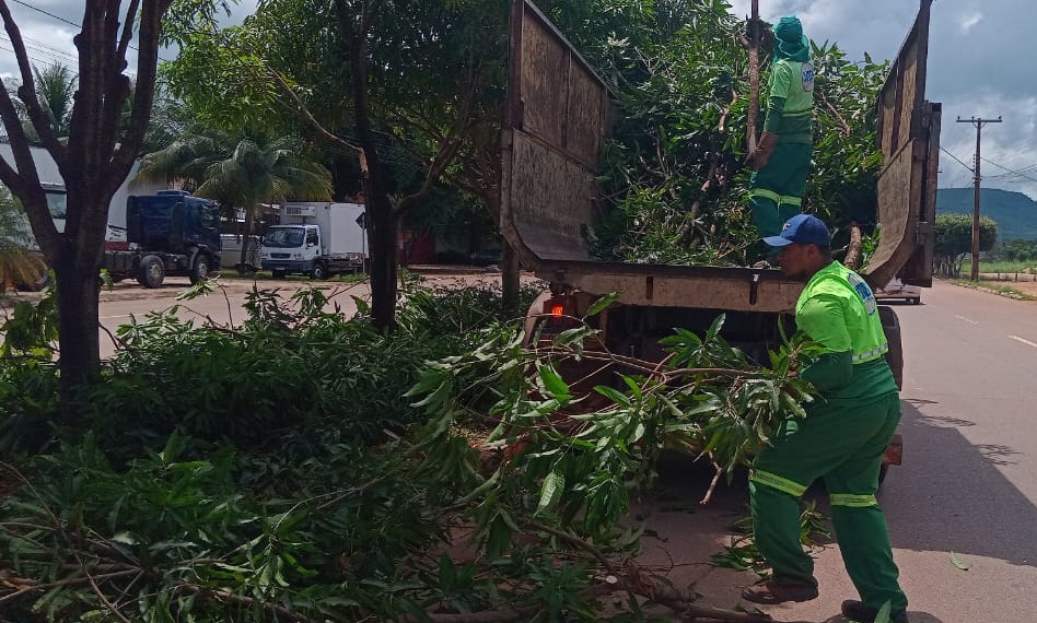 Prefeitura de Palmas intensifica serviços de coleta de galhadas na cidade
