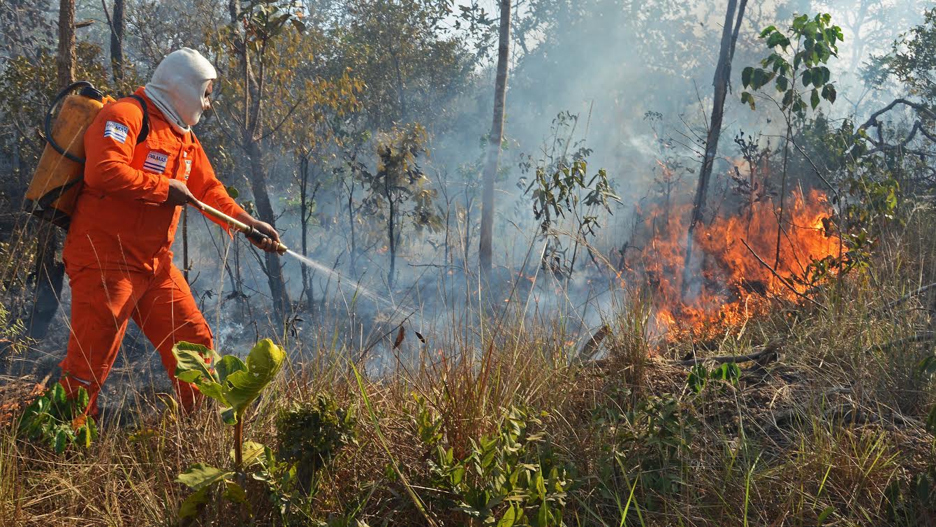 Defesa Civil realiza Dia D de combate às queimadas neste sábado, 22