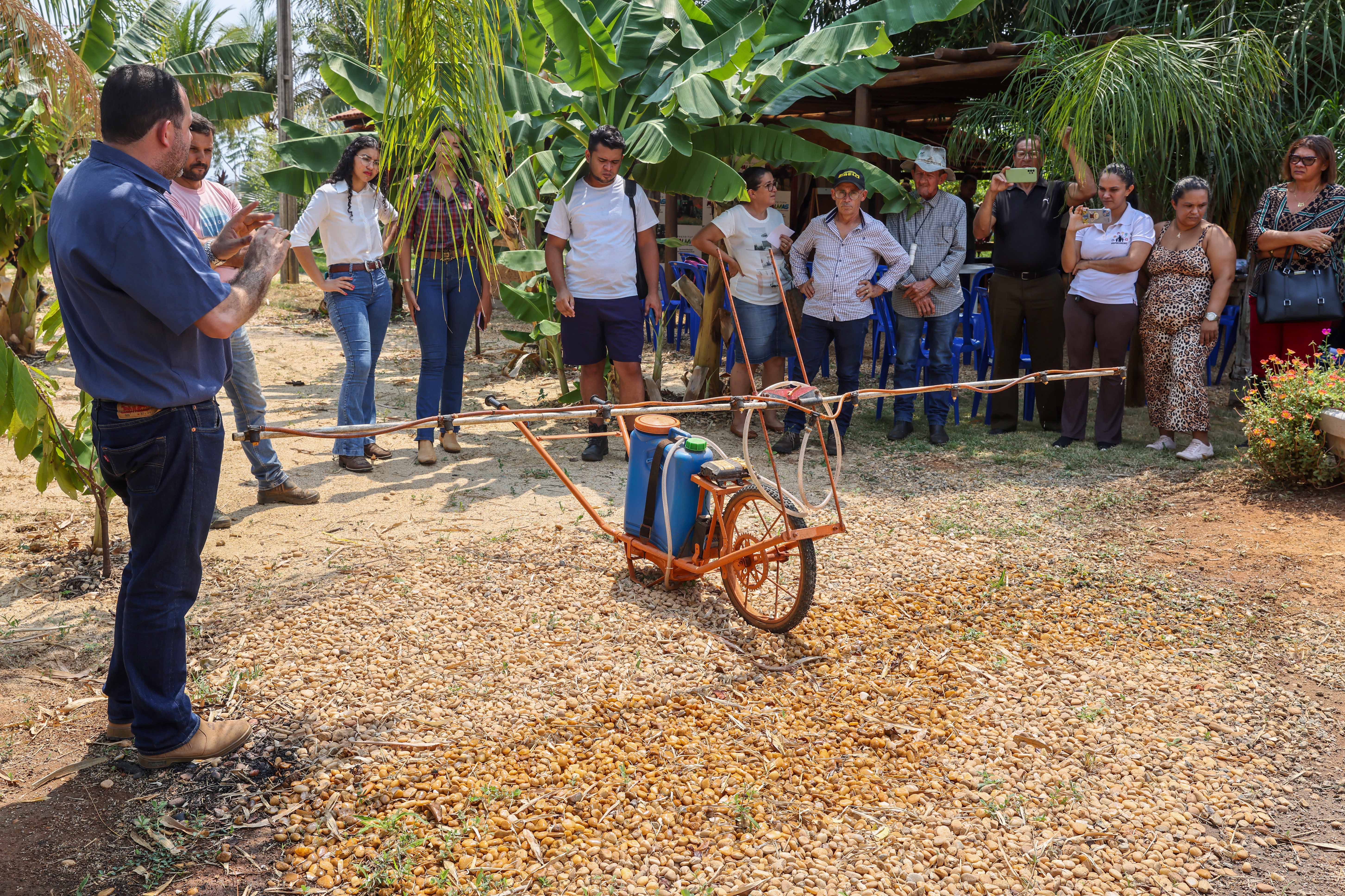 Dia de Técnico realizado pela Seder amplia conhecimento de produtores de mandioca em Palmas