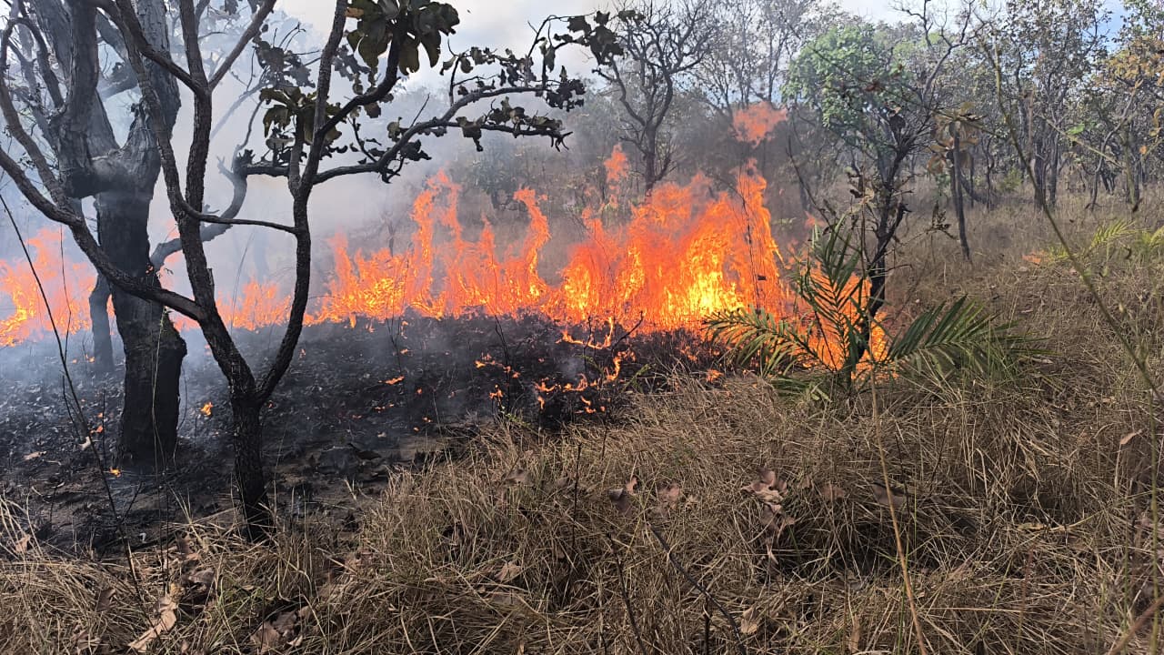 Defesa Civil Municipal combate 
incêndio de grande proporção em área verde nas quadras 403 e 405 Norte
