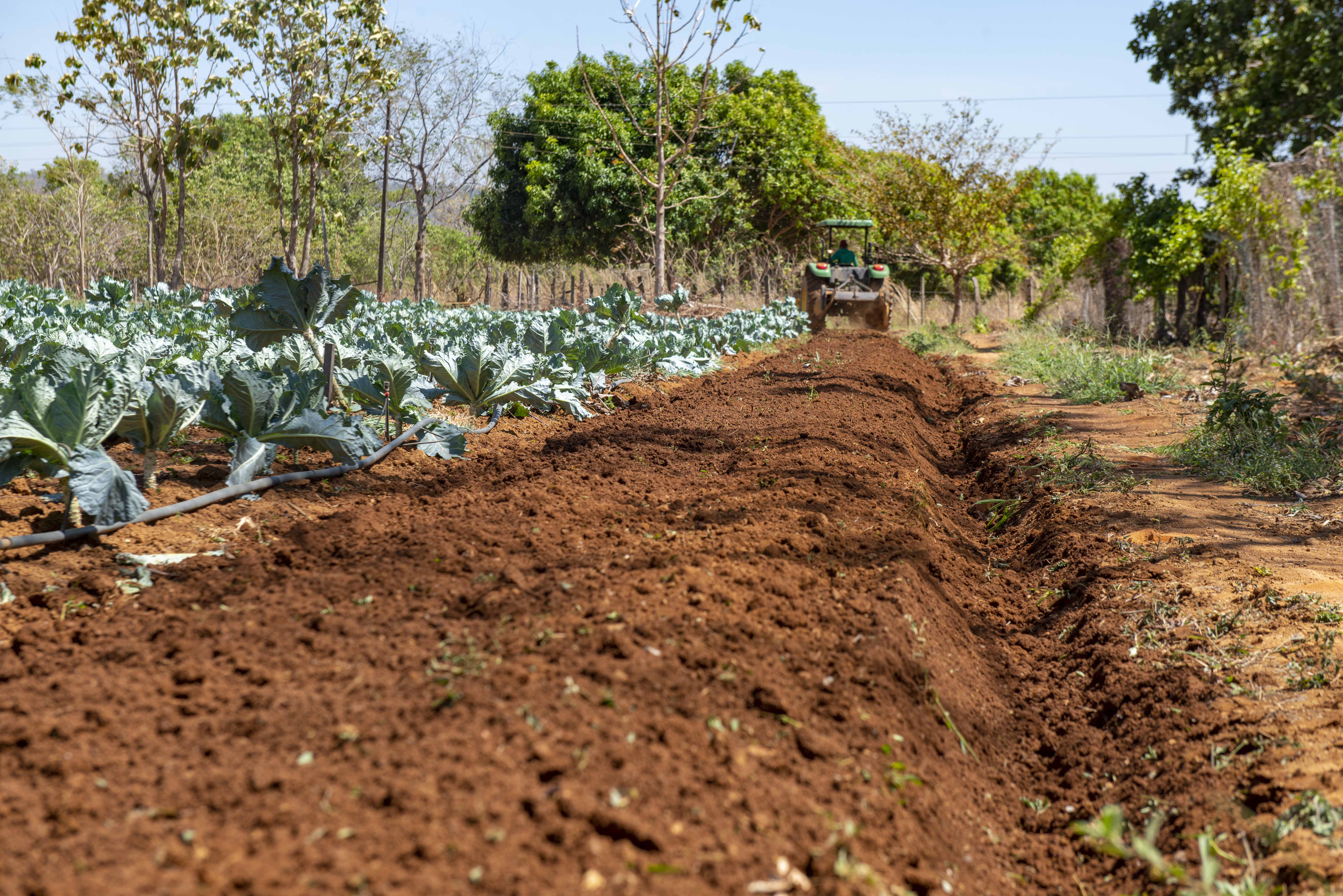 Câmara Municipal decretou para julho a 'Semana Municipal da Agricultura e Sustentabilidade'