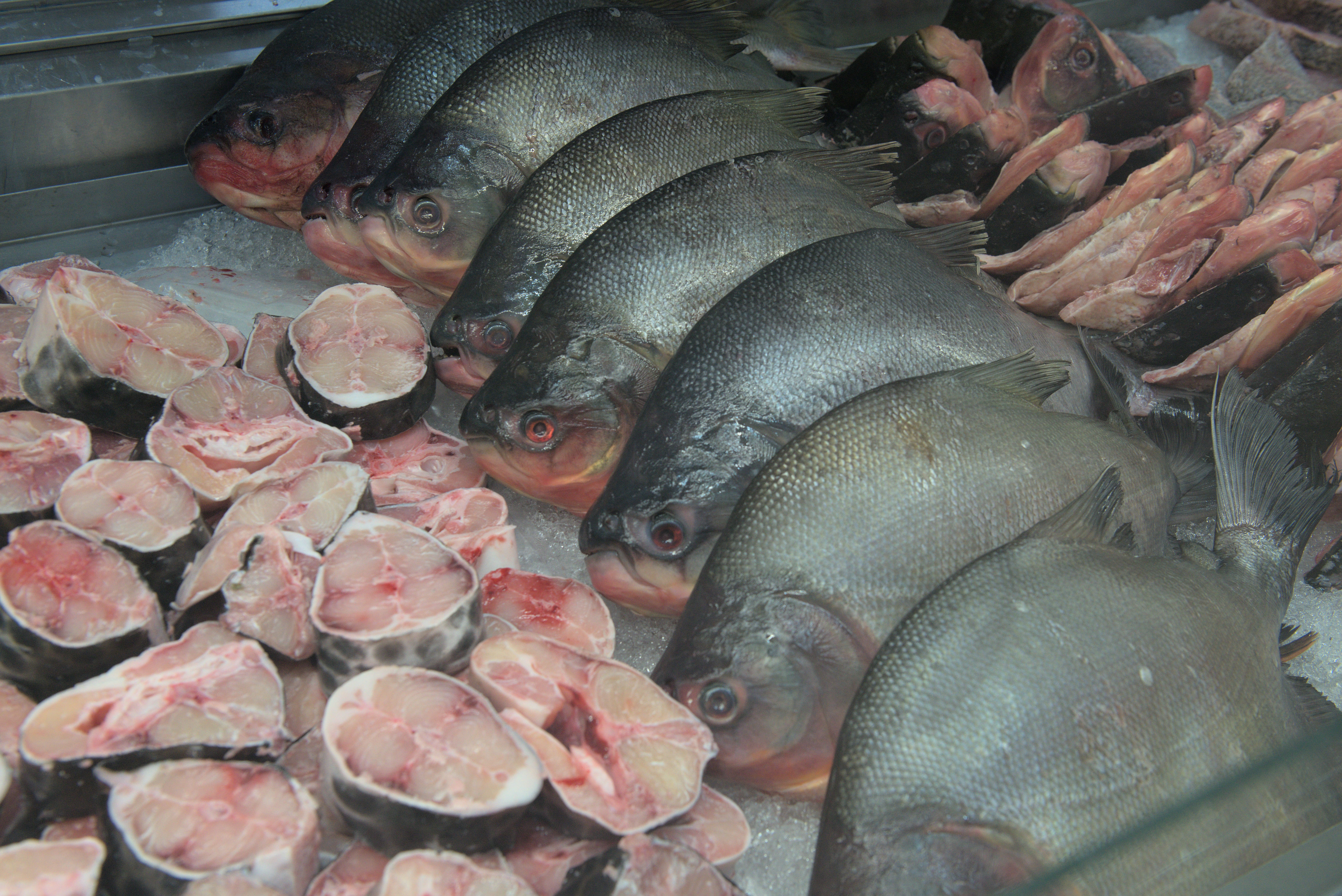 Órgão analisou o valor de 10 pescados em nove estabelecimentos -  Foto: Lia Mara