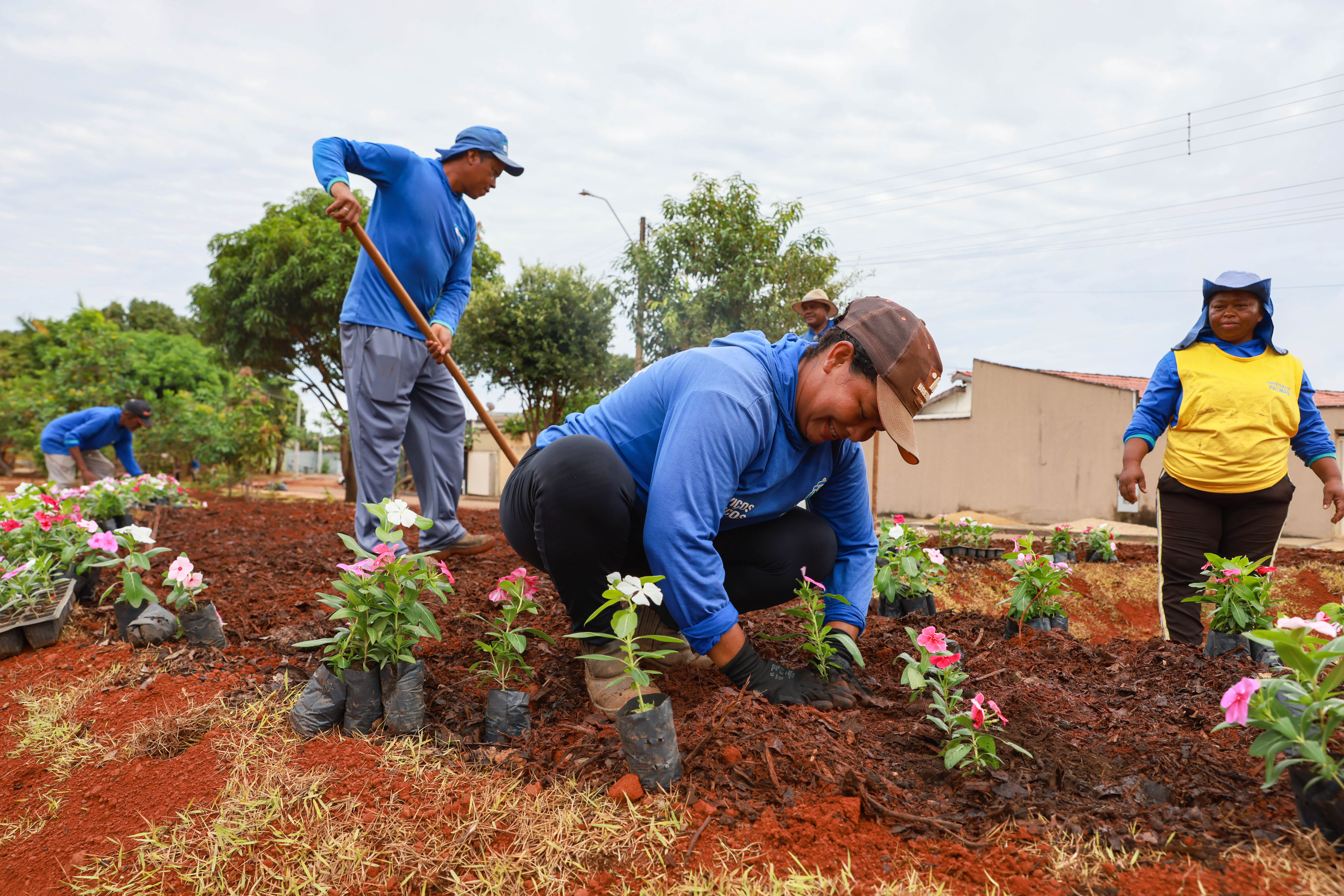 Plantio de mudas na nova praça da Arno 44 (409 Norte)