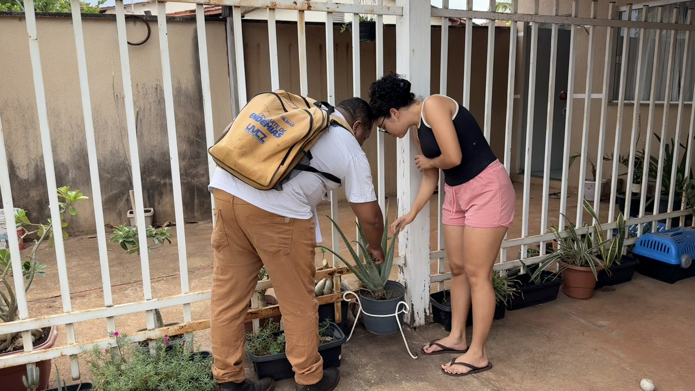 Agentes passarão de casa em casa para orientar moradores e eliminar criadouros do mosquito