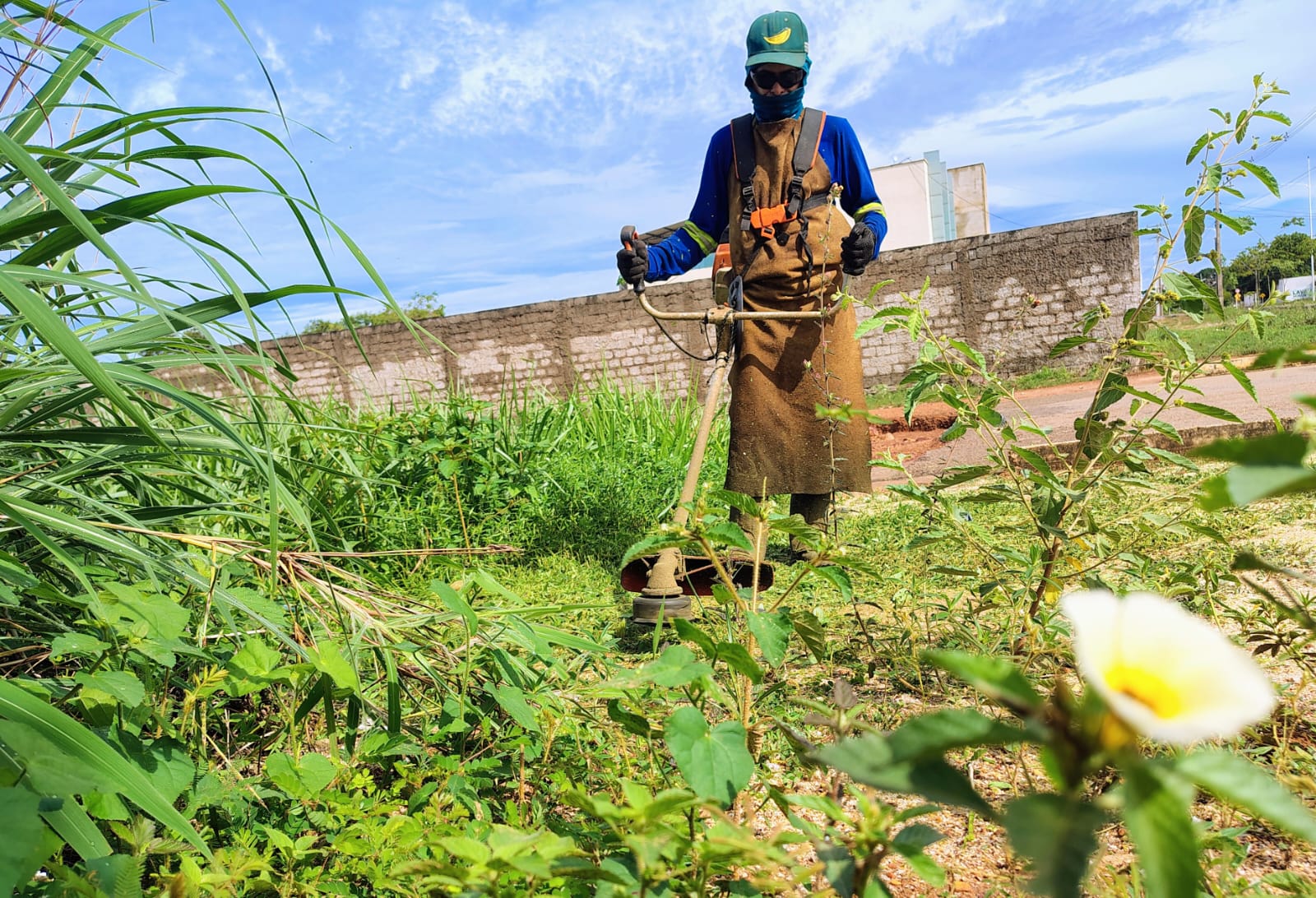 Roçagem de vegetação foi executada em canteiro verde da Avenida NS-02