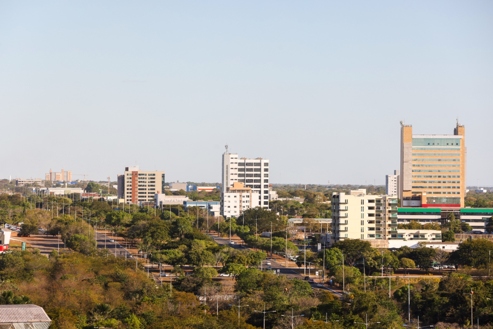 Programa de conversão de multas ambientais da Prefeitura de Palmas permite transformar valores em ações concretas de cuidado com a natureza