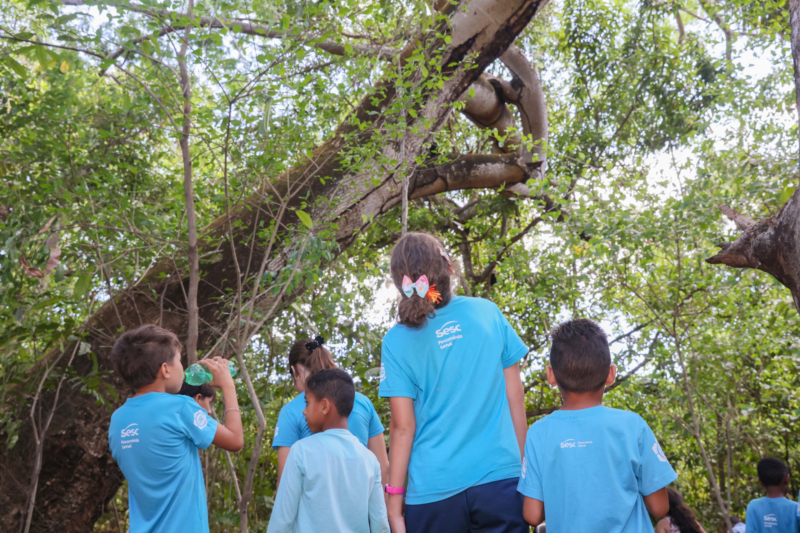 Prefeitura de Palmas realiza aulas de campo com alunos do Sesc no Aureny III