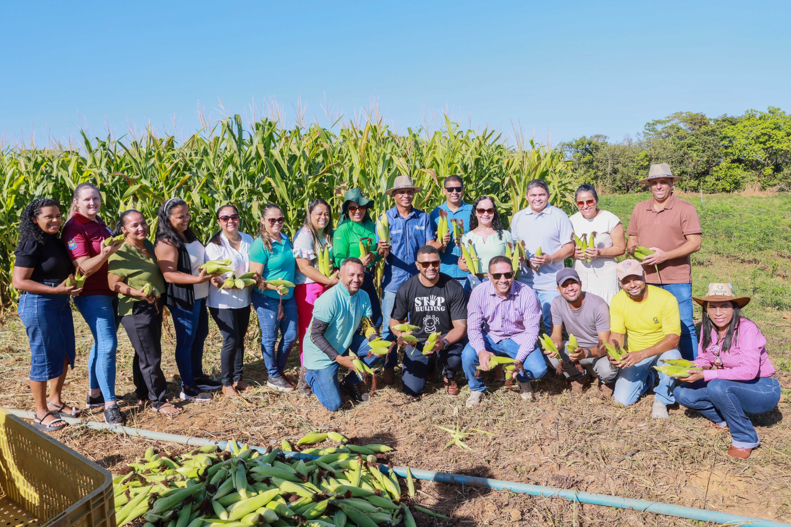 Colheita na Fazendinha é doada para escolas municipais de Palmas