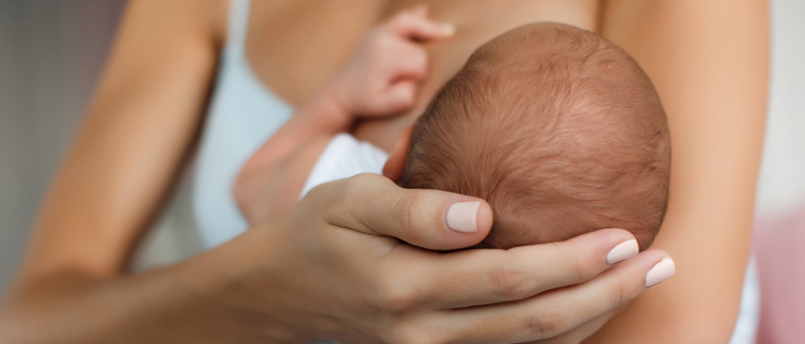 Agosto Dourado: Aleitamento materno deve ser mantido mesmo durante tratamento de doenças infecciosas