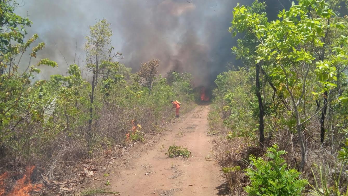 Incêndio próximo ao aeroporto em Palmas é controlado com ajuda da Defesa Civil
