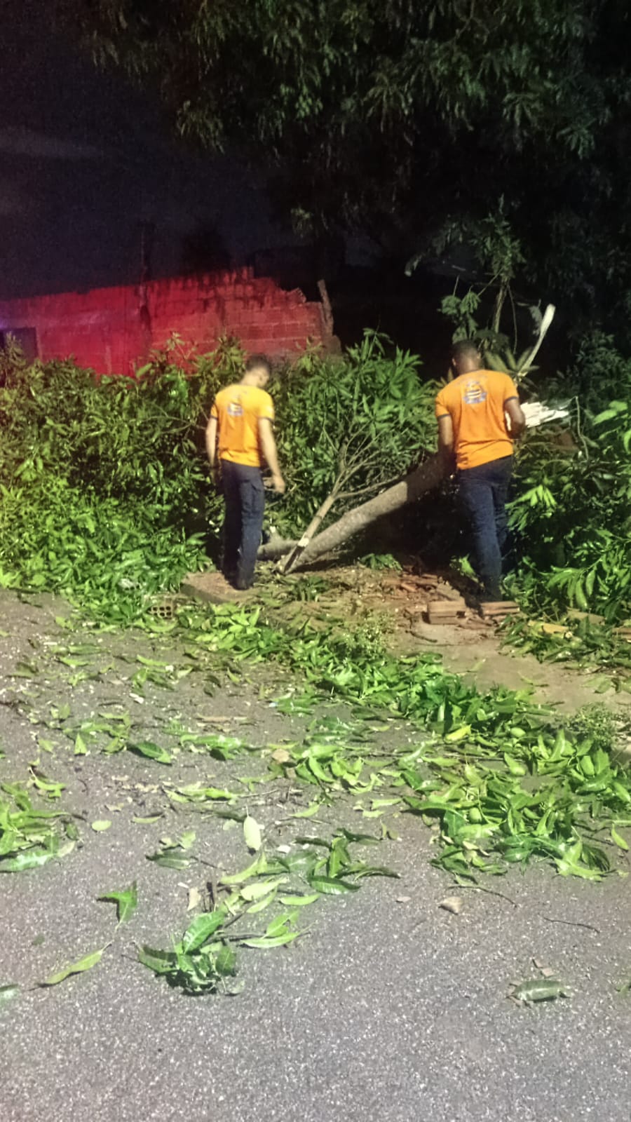 Ao todo, três residências foram afetadas: duas com queda de árvores e uma em que o telhado se desprendeu e atingiu a rede de energia elétrica, contribuindo para a falta de luz na região. Foto: Defesa Civil de Palmas