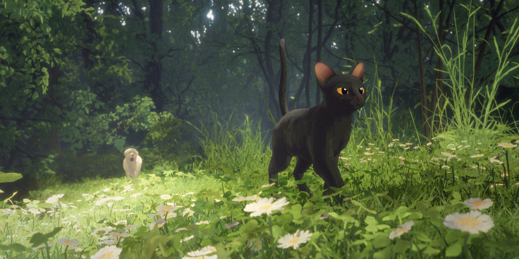 Indicado ao Oscar 2025, filme de animação ‘Flow’ entra em cartaz no Cine Cultura Palmas