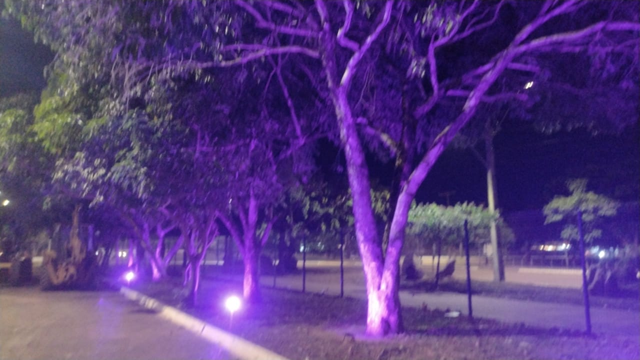 Parque Cesamar recebeu a iluminação especial
