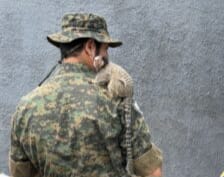 Agente Ambiental recolhe sagui em área residencial de Palmas