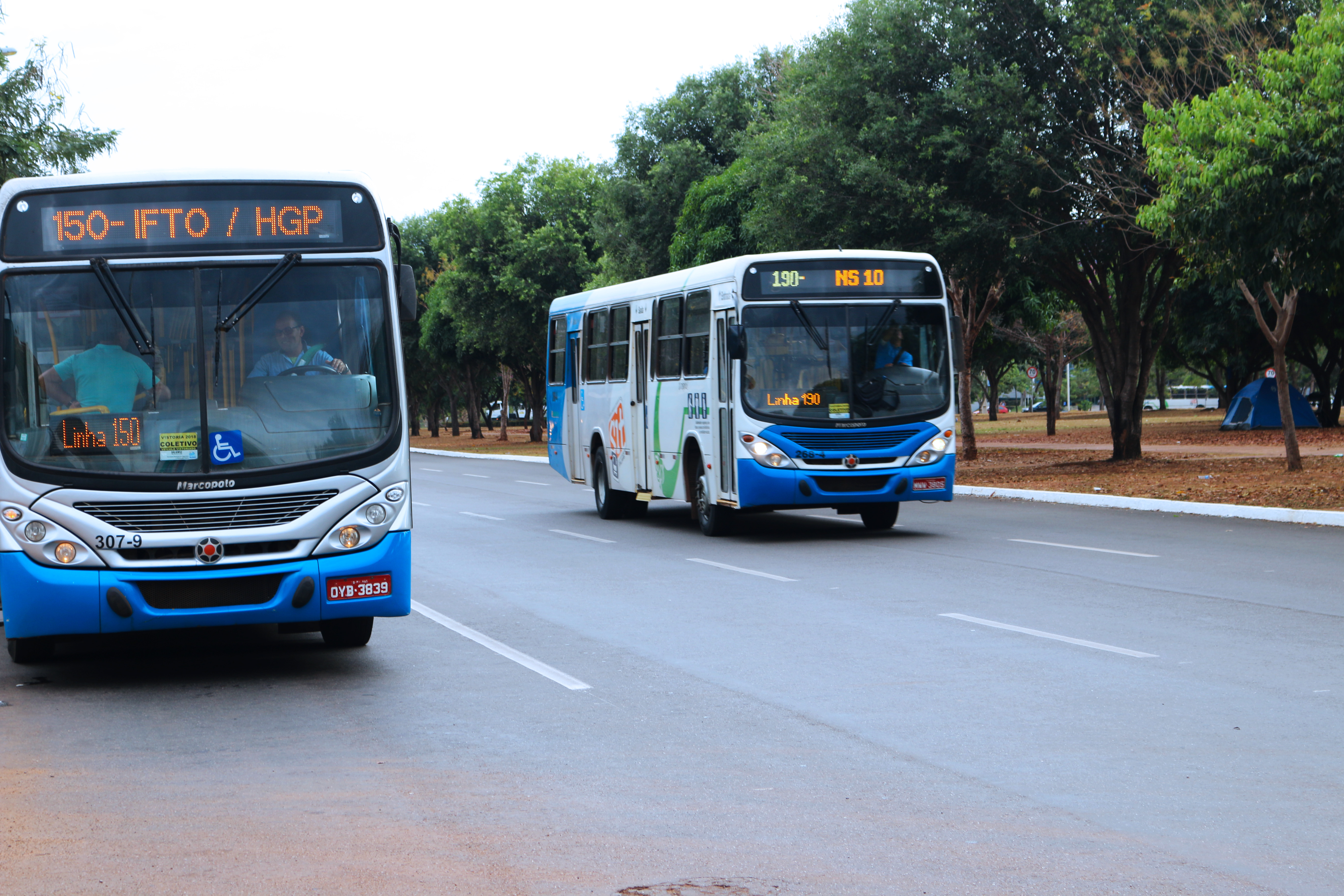 Conselho Municipal de Acessibilidade e Mobilidade irá analisar reajuste da tarifa de transporte coletivo de Palmas