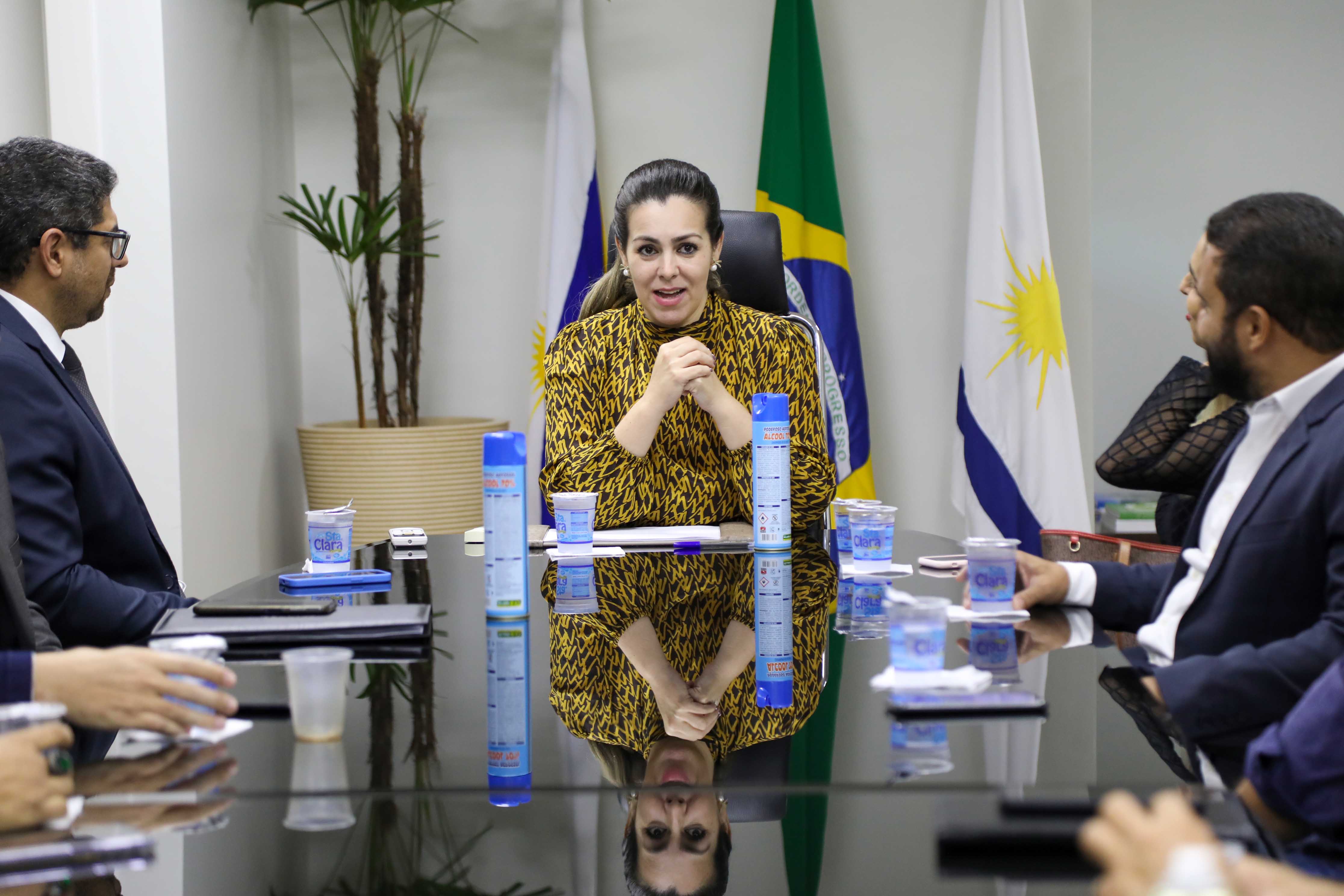 Prefeita de Palmas e delegados do Tocantins discutem possíveis parcerias na área de segurança