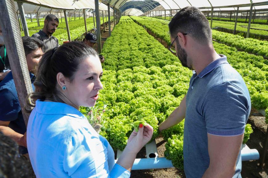 Capital por um dia: gestores municipais e produtores rurais de Palmas conhecem produção hidropônica de hortaliças
