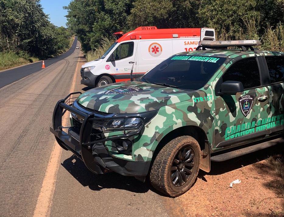 Guarda Metropolitana Ambiental aciona Samu para socorrer homem em situação de vulnerabilidade às margens da BR-010 em Palmas