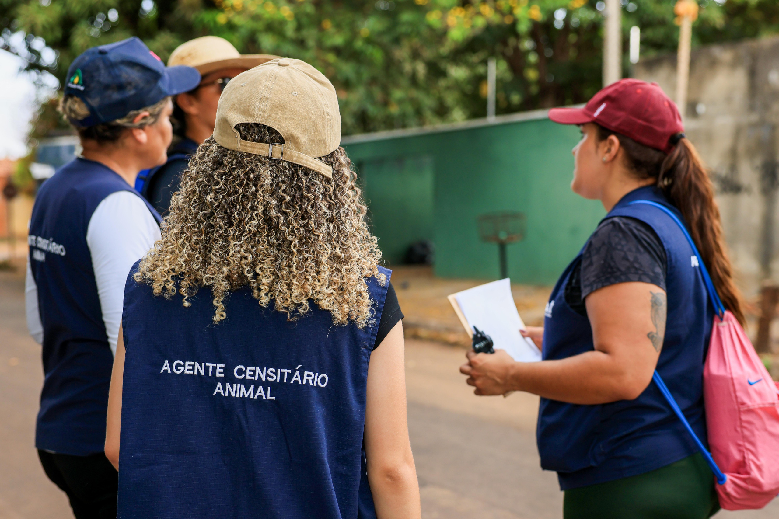 Prefeitura de Palmas inicia estudo para estimar população de cães e gatos no município