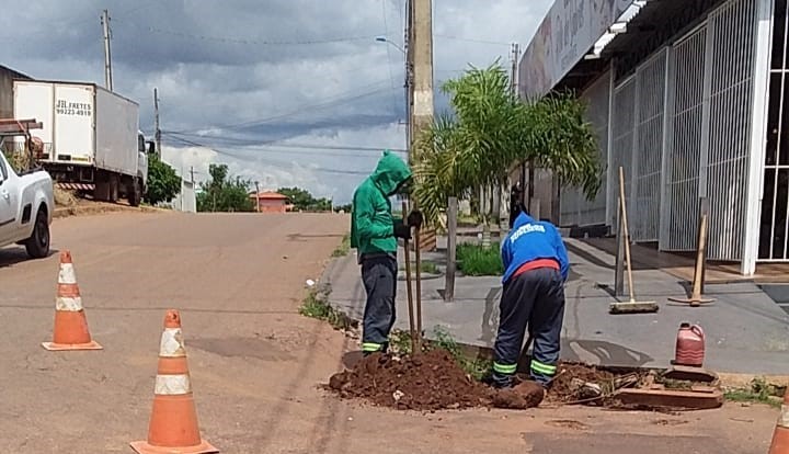 Prefeitura de Palmas realiza limpeza em bocas de lobo no Santa Bárbara e Jardins Aurenys