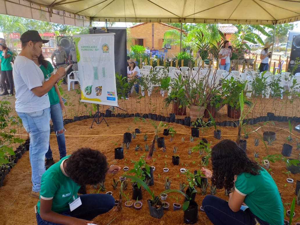 Alunos da Rede Municipal apresentam técnicas dos sistemas agroflorestais na Agrotins